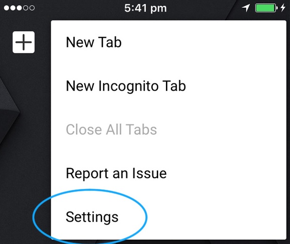 Screenshot of the Chrome menu, showing the Settings item