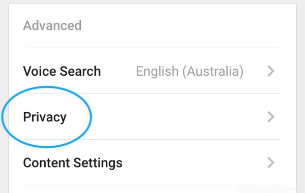Screenshot of settings menu, showing the Privacy item