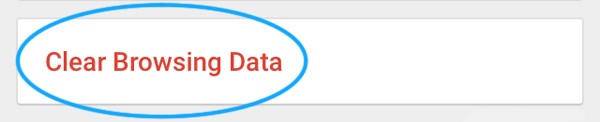 Screenshot of Clear Browsing Data button, which will actually delete what you have selected to be deleted