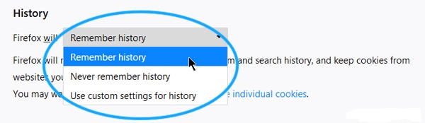Screenshot of the History options.