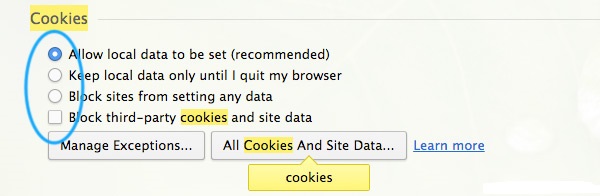Screenshot showing the different Cookies settings.