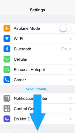 Screenshot showing the Settings icon on the Home screen